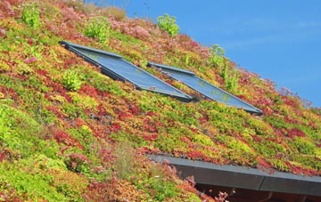 Knebworth living roof systems