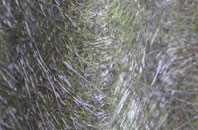 Knebworth fibreglass roof work